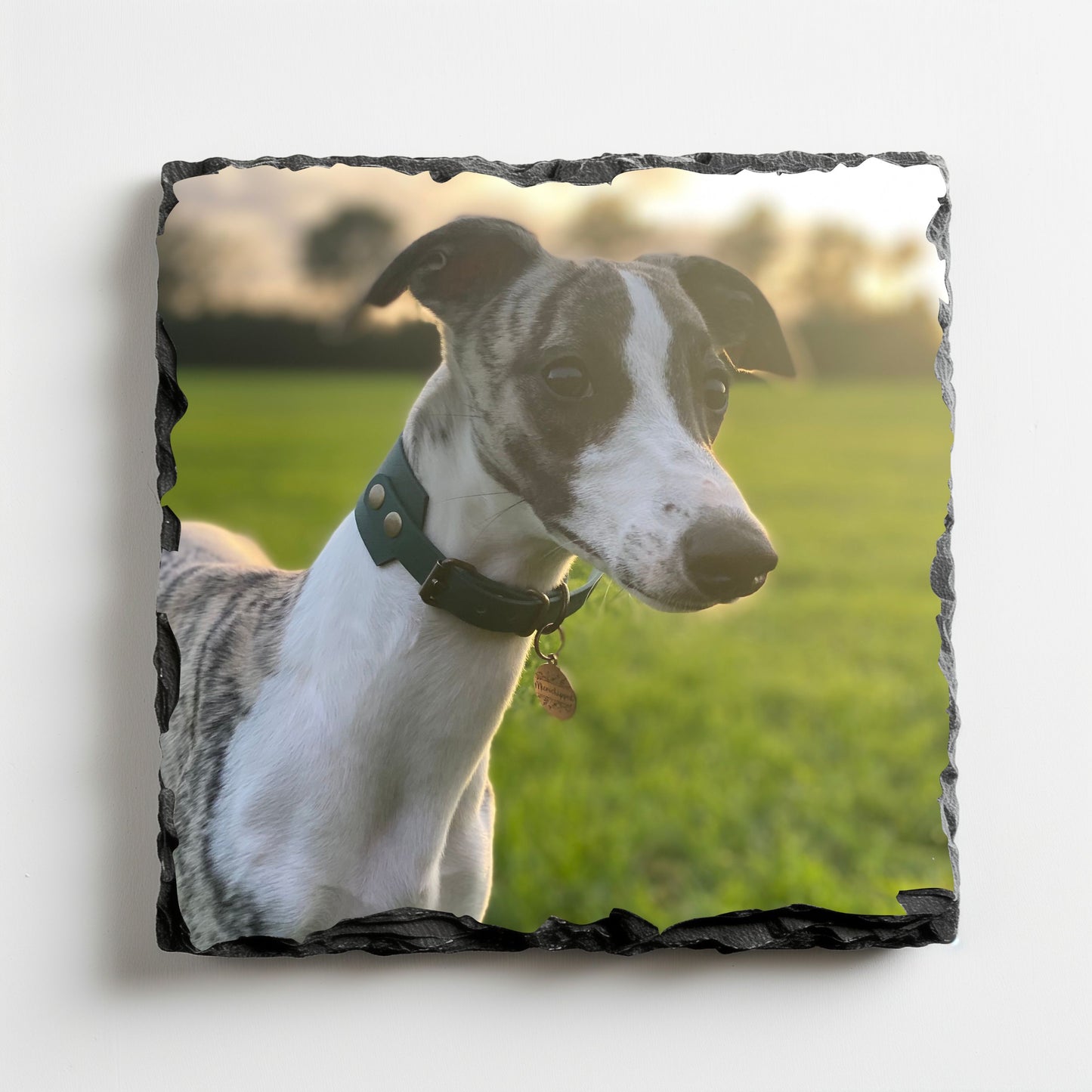 Coaster: Photograph