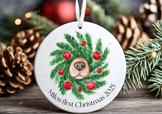 Ceramic Decoration- A Christmas nose!