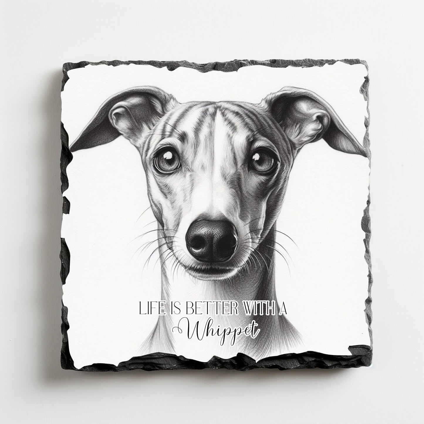 Coaster: Life is better with a Whippet