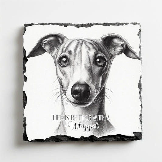 Coaster: Life is better with a Whippet