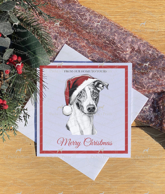 Christmas card- A Sighthound Santa