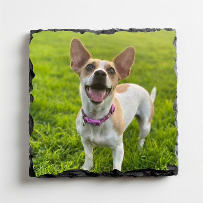 Coaster: Photograph