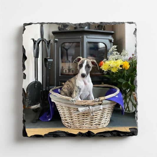 Coaster: Photograph