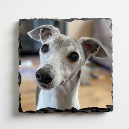 Coaster: Photograph