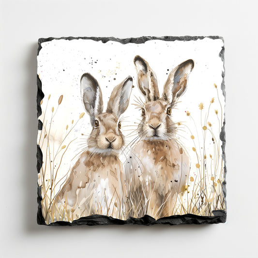 Coaster: Spring Hares