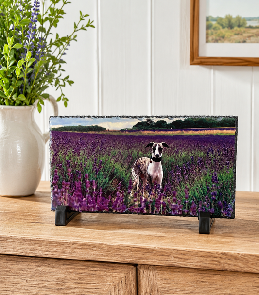 Tabletop display with a dog in a lavender field on a wooden surface.
