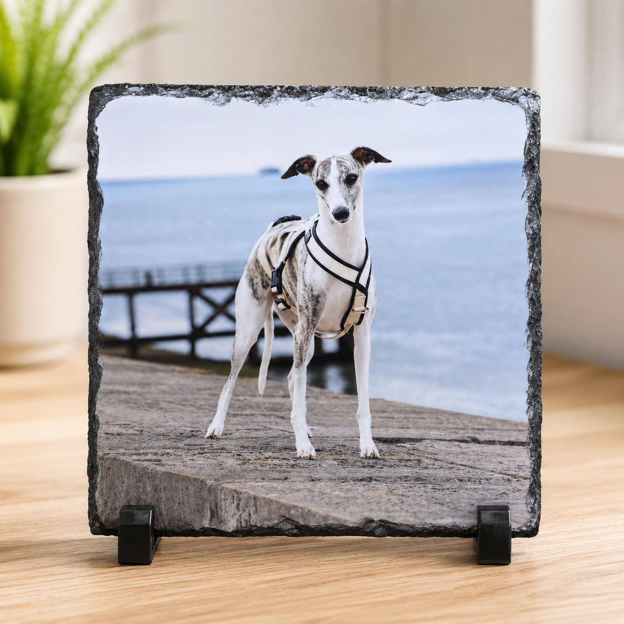 A square slate photo plaque on a black stand, featuring a printed photograph of a white and gray dog wearing a harness on a wooden dock by the water. The plaque is displayed on a light wood surface with a blurred indoor background.