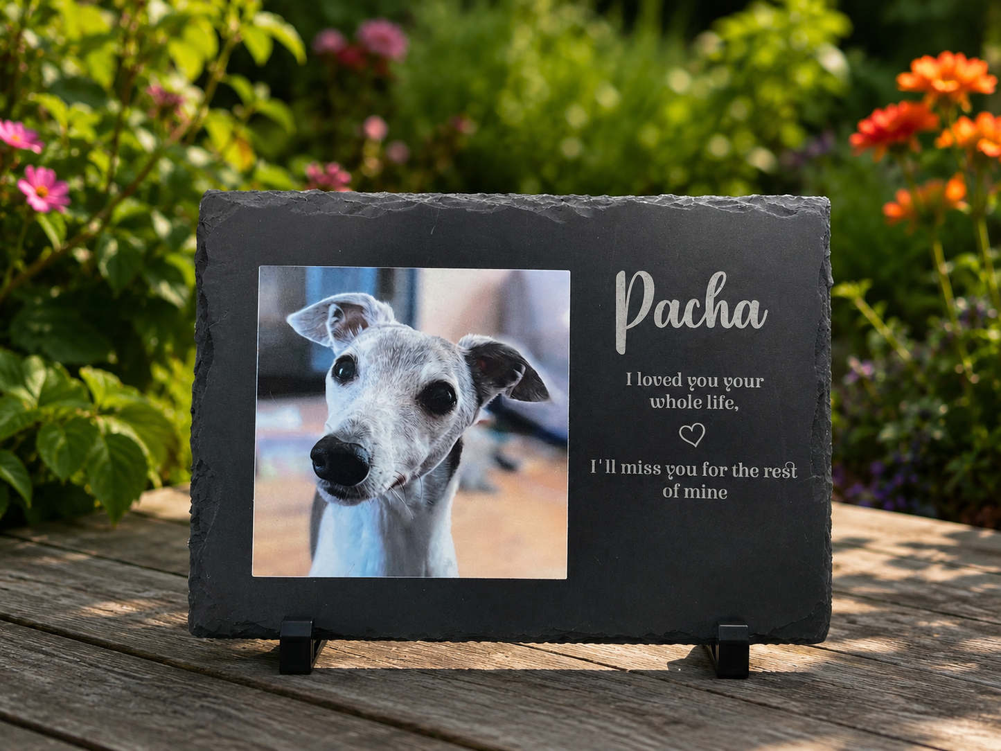 A personalized dark gray slate memorial plaque on a wooden table, featuring a photo of a greyhound dog named Pacha and engraved white text, set against a blurred garden background.