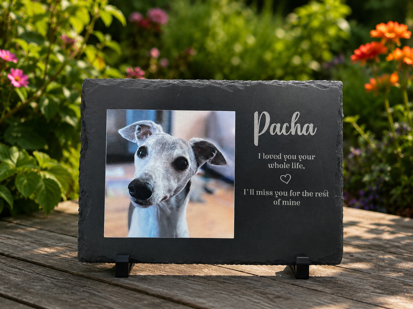 A personalized dark gray slate memorial plaque on a wooden table, featuring a photo of a greyhound dog named Pacha and engraved white text, set against a blurred garden background.