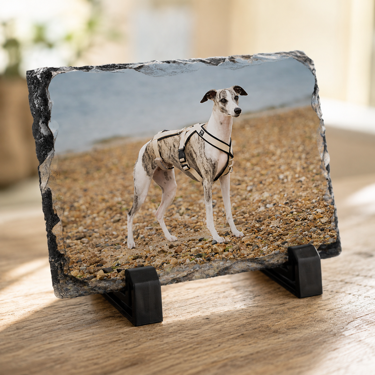 A custom photo slate sign on a black stand, featuring a printed image of a greyhound dog wearing a harness on a pebble beach. The slate is displayed on a wooden table in a brightly lit room.